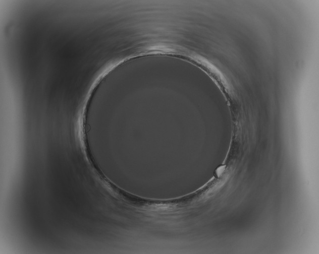 X0000102471373200808151419