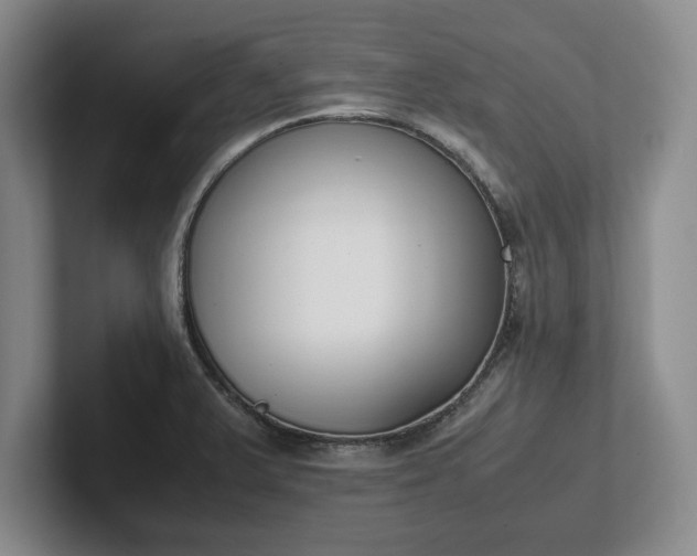 X0000102471375200808151419