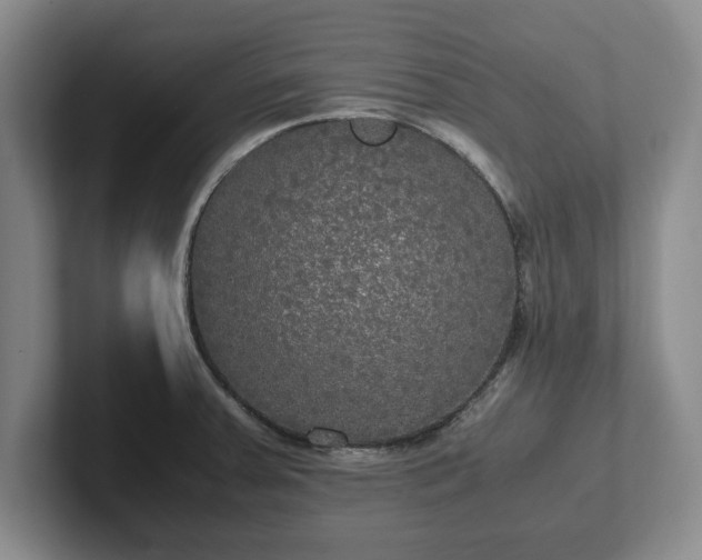 X0000102471379200808151419