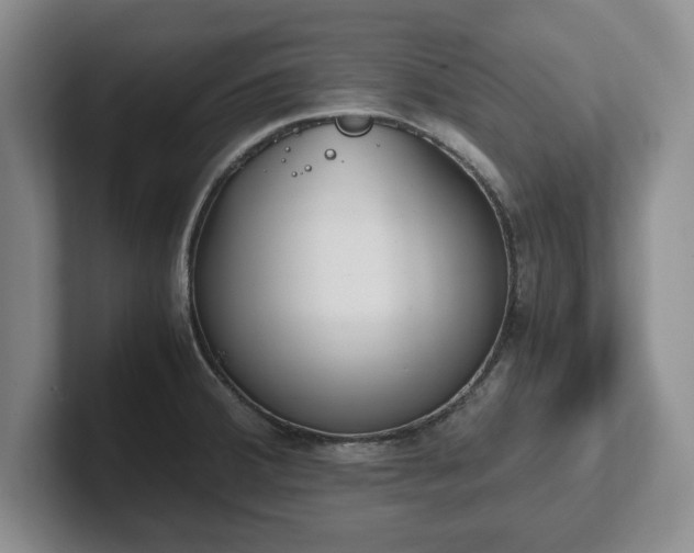X0000102471380200808151419