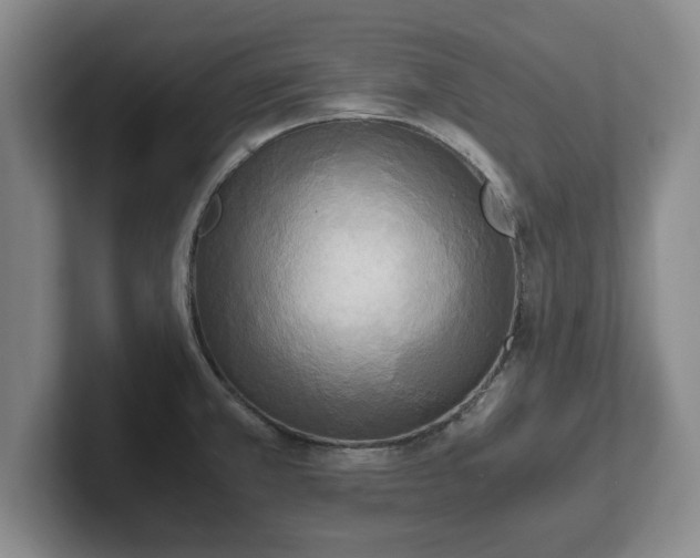X0000102471381200808151419