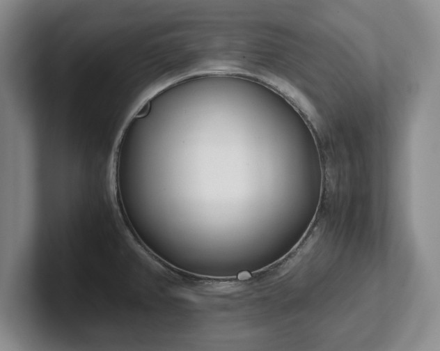 X0000102471382200808151419