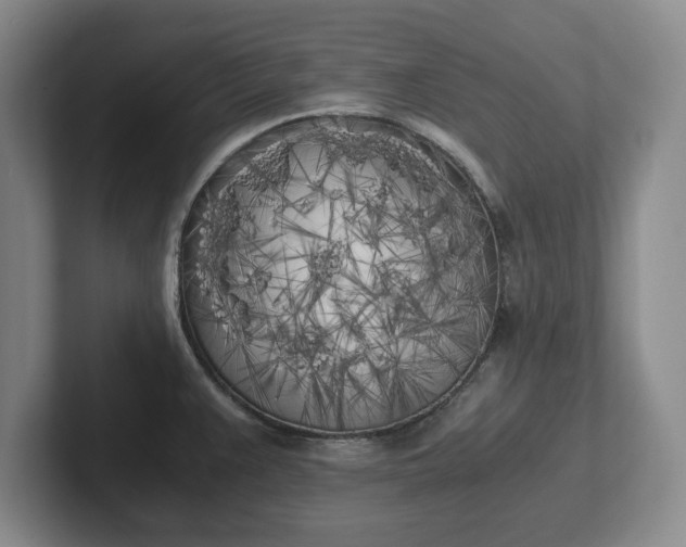 X0000102471383200808151419