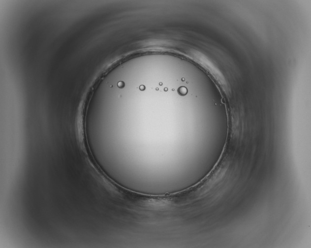 X0000102471384200808151419
