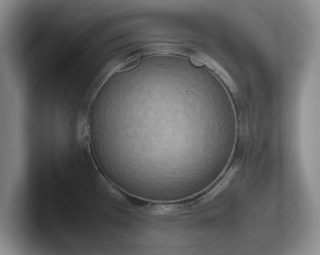 X0000102471385200808151419