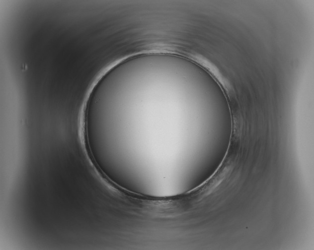X0000102471387200808151419