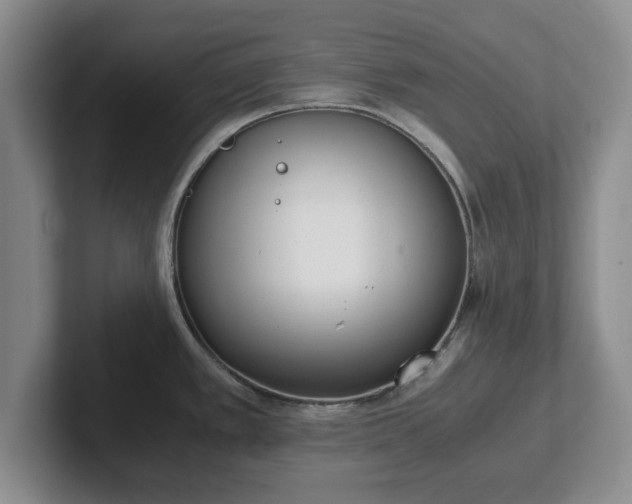 X0000102471389200808151419