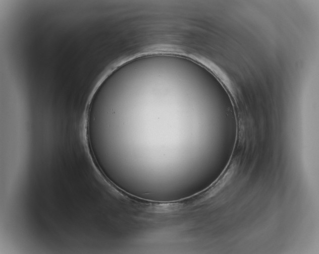 X0000102471390200808151419