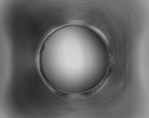X0000102471391200808151419