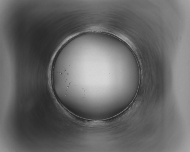 X0000102471392200808151419