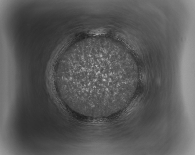 X0000102471393200808151418