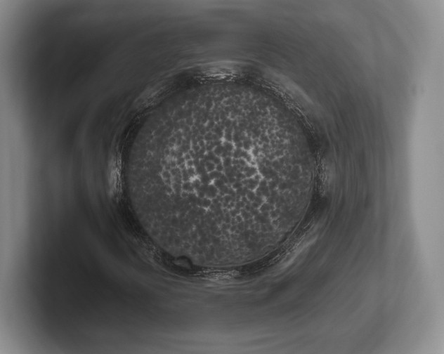 X0000102471394200808151418