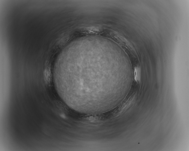 X0000102471395200808151418