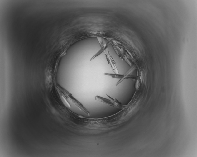 X0000102471396200808151418