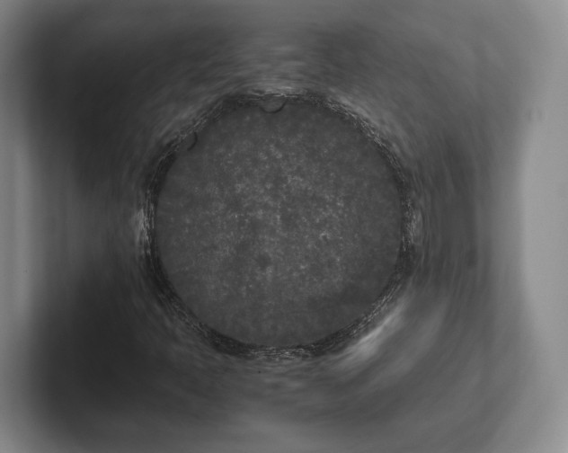 X0000102471397200808151418