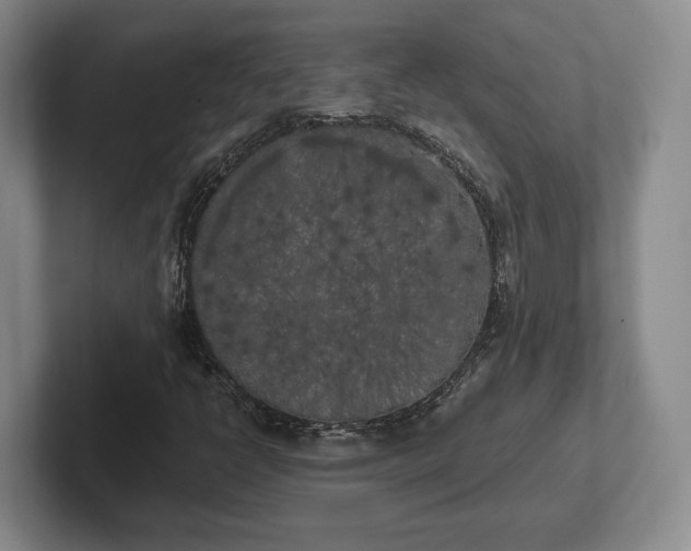 X0000102471398200808151418