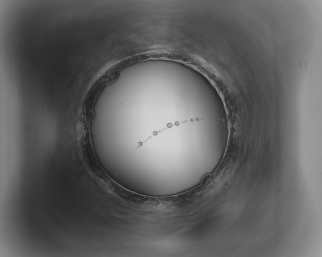 X0000102471400200808151418