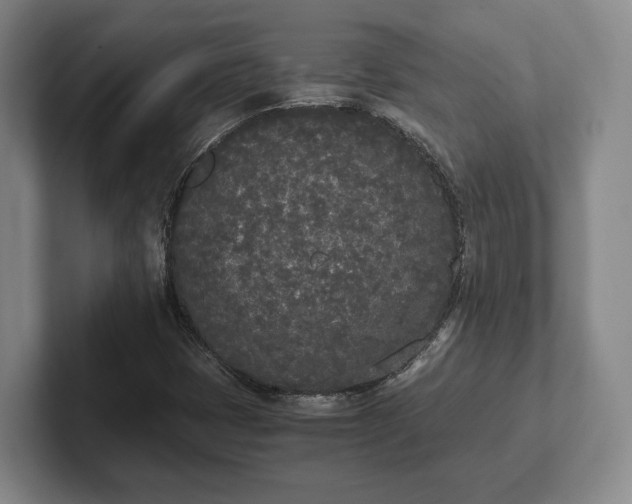 X0000102471401200808151418