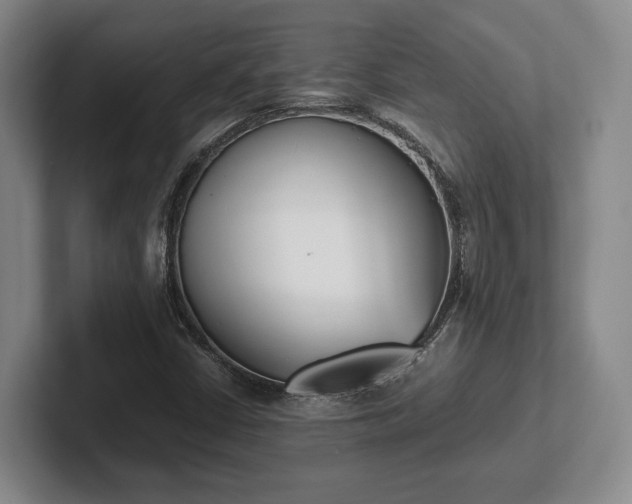 X0000102471402200808151418