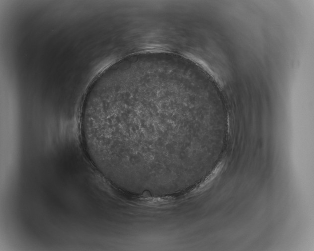 X0000102471405200808151418