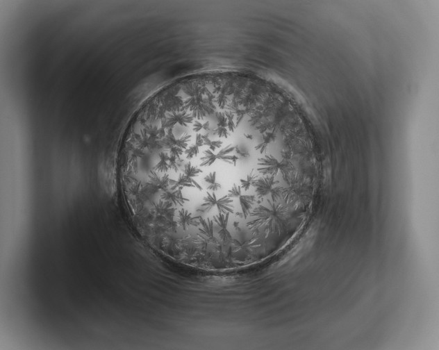 X0000102471409200808151418