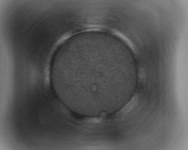 X0000102471411200808151419