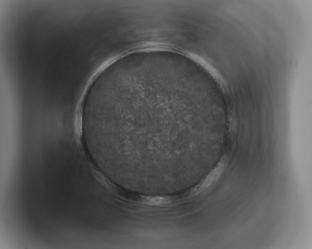 X0000102471413200808151419