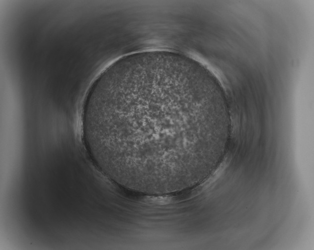 X0000102471415200808151419