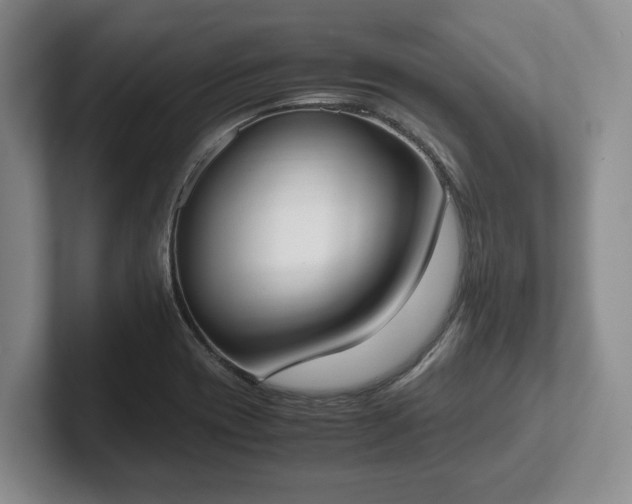 X0000102471417200808151419