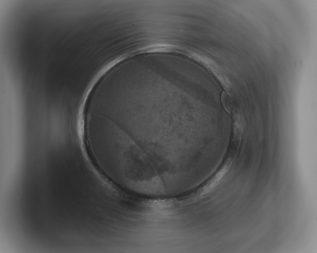 X0000102471418200808151419