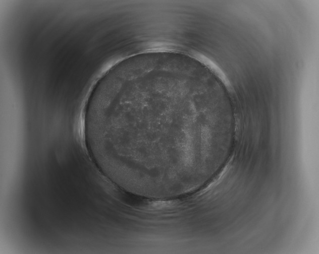 X0000102471419200808151419