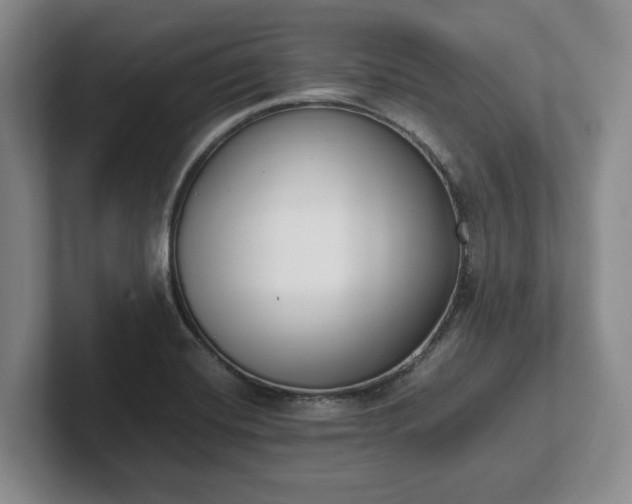 X0000102471420200808151419
