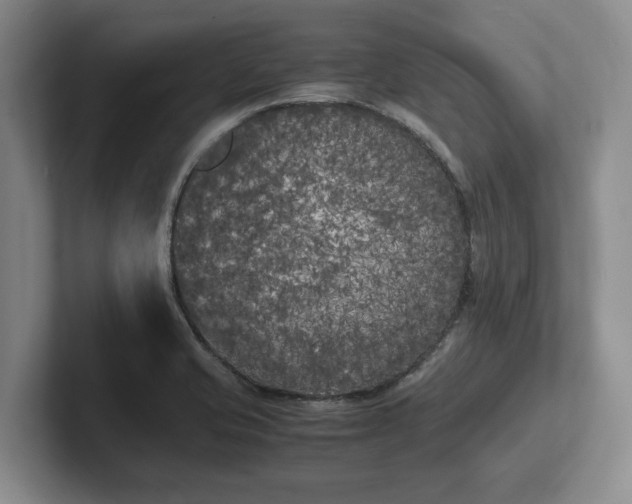 X0000102471421200808151419