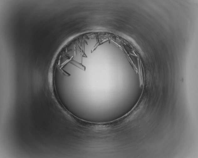 X0000102471424200808151419