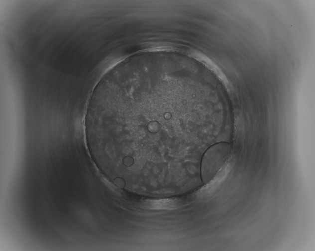 X0000102471425200808151419