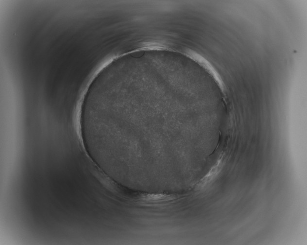 X0000102471427200808151419