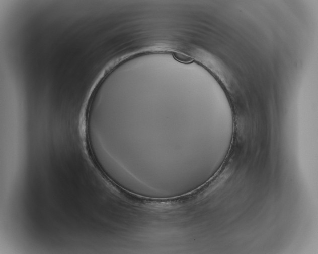 X0000102471428200808151419