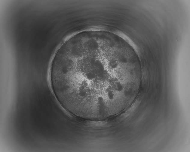 X0000102471429200808151419
