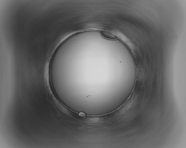 X0000102471431200808151419