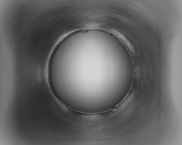 X0000102471432200808151419
