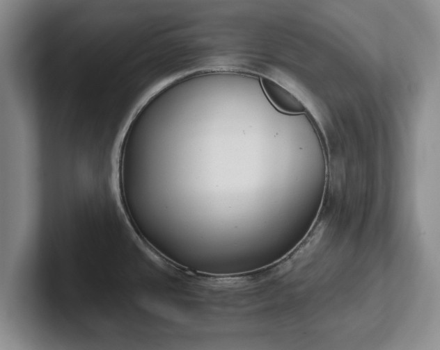 X0000102471437200808151419