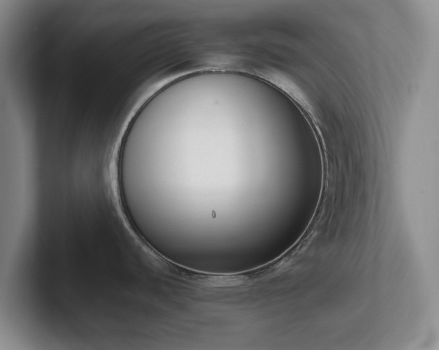 X0000102471440200808151419