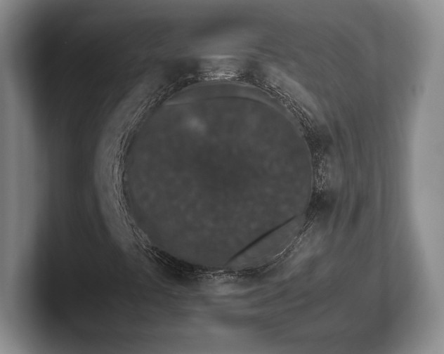 X0000102471441200808151418