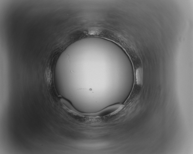 X0000102471443200808151418