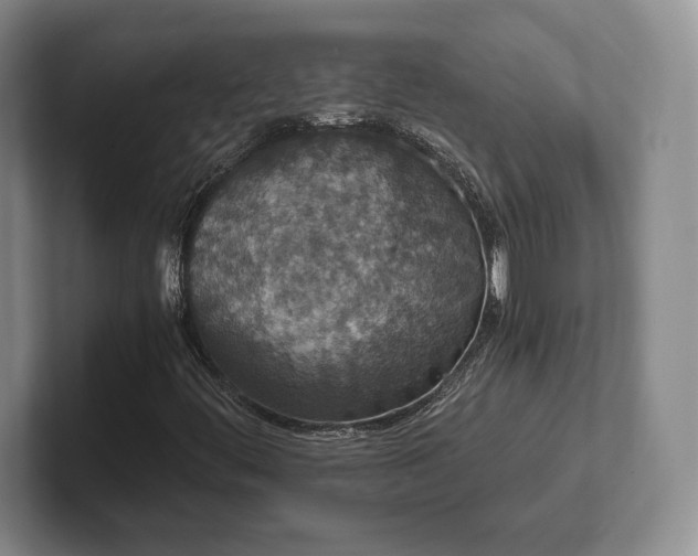 X0000102471444200808151418