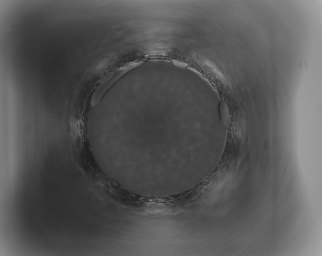 X0000102471445200808151418