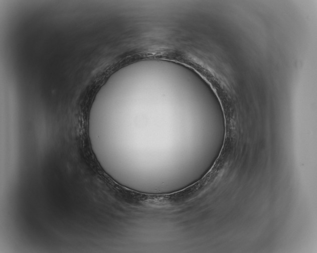 X0000102471447200808151418