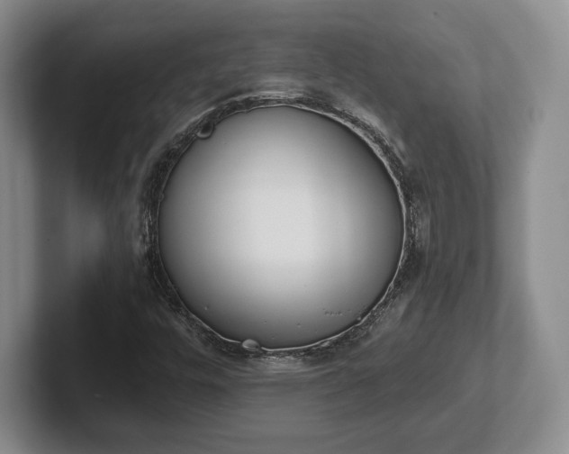 X0000102471448200808151418