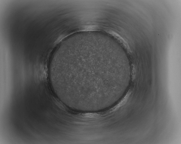 X0000102471449200808151418
