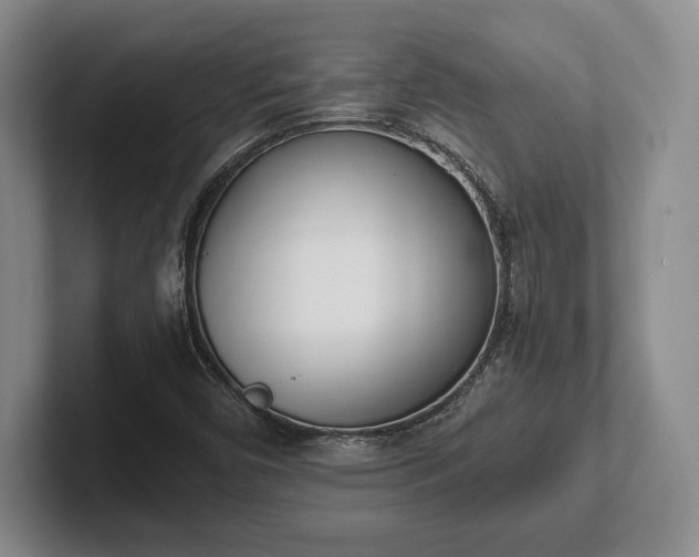 X0000102471450200808151418